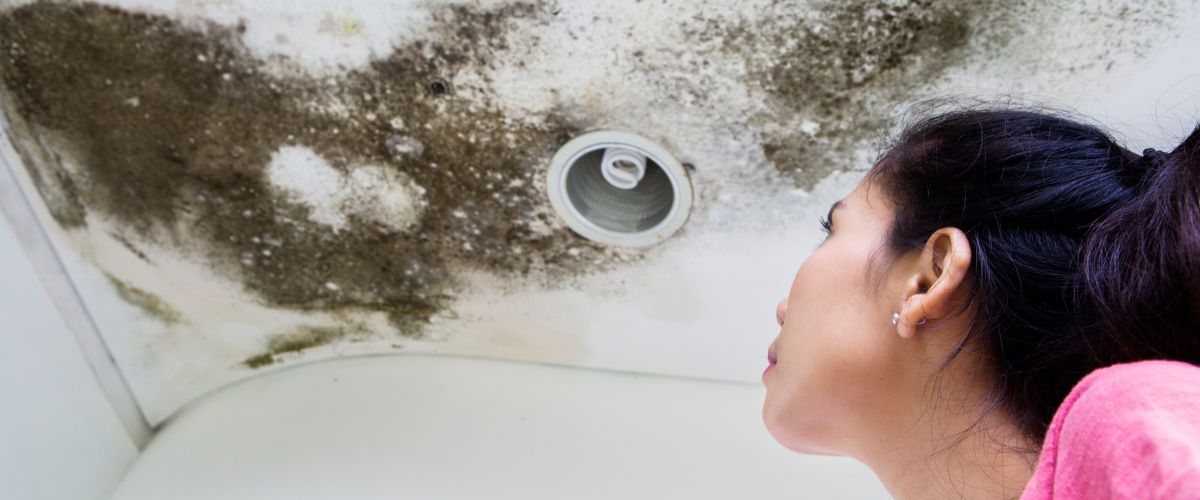 Dehumidifiers for mould management